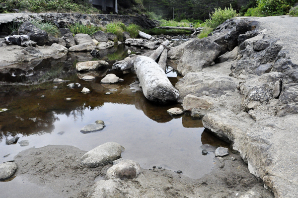 Fogarty Creek Recreation Area